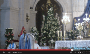 Homilía del vicario (parte II)